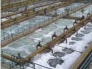 直接投加聚合硫酸鐵